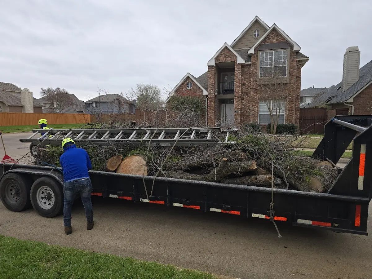 Expert Lot Clearing with proper safety equipment in Lickingville